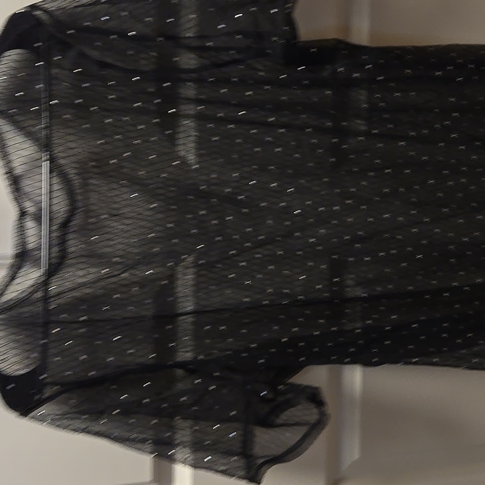 Sheer Top - Picture 3 of 3